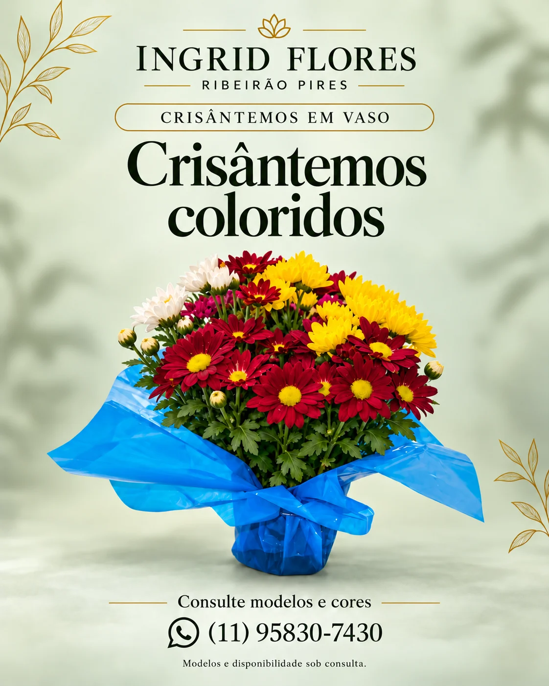 Vaso colorido de crisântemos
