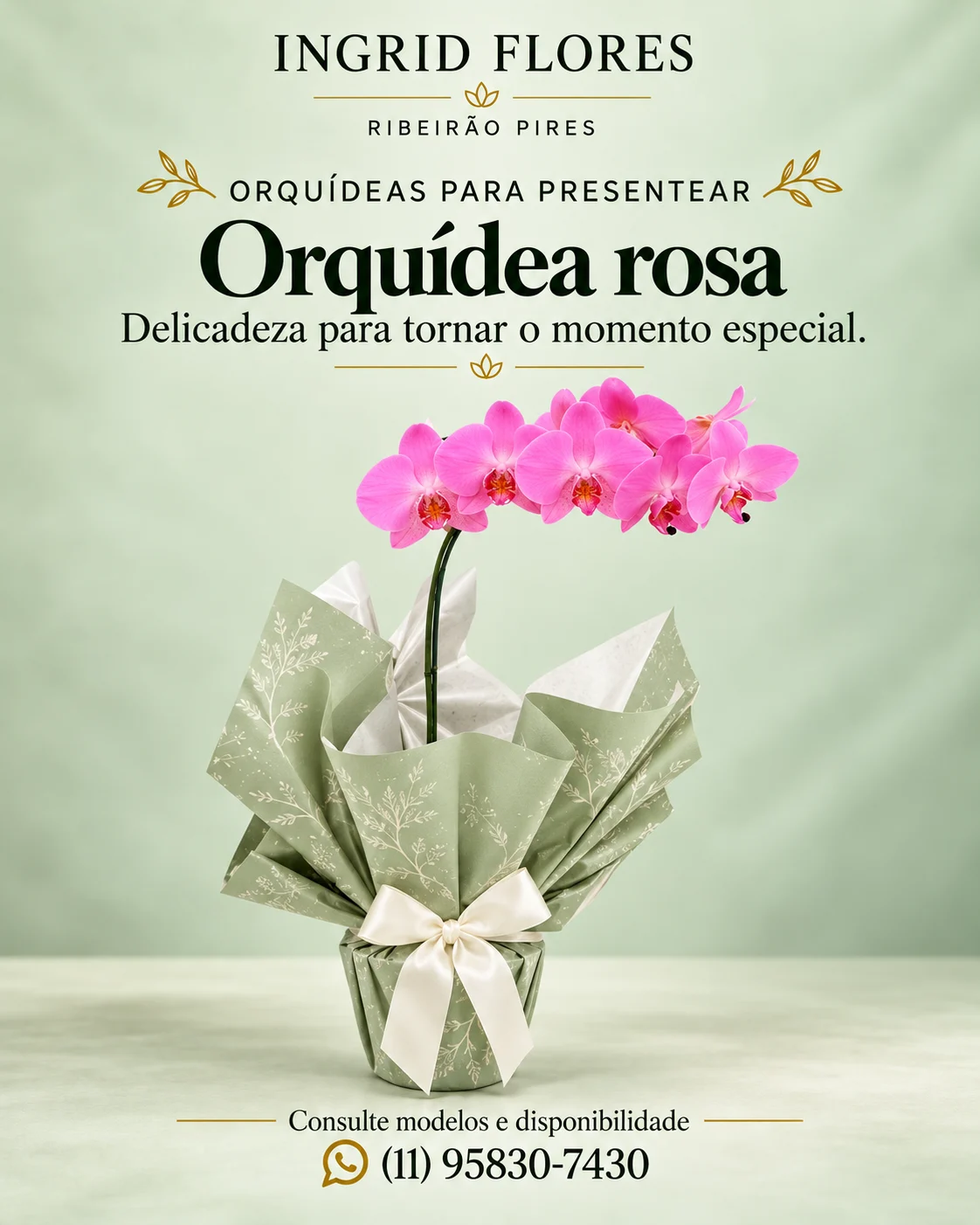 Orquídea rosa embalada para presentear